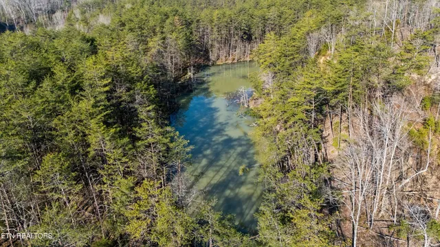 $1,450,000 | Stinking Creek Road, La Follette, TN 37766
