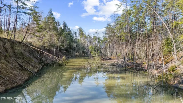 $1,450,000 | Stinking Creek Road, La Follette, TN 37766
