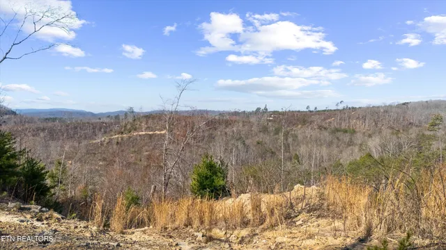 $1,450,000 | Stinking Creek Road, La Follette, TN 37766