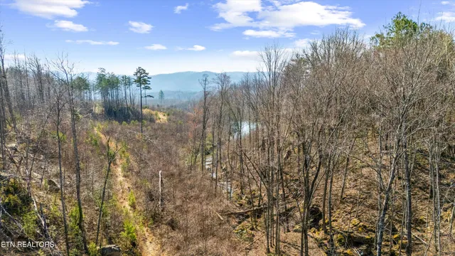 $1,450,000 | Stinking Creek Road, La Follette, TN 37766