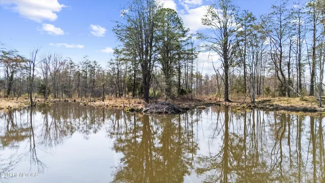 $1,450,000 | Stinking Creek Road, La Follette, TN 37766