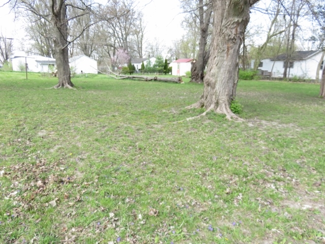 Purdue Road Muncie, IN 47303 - Photo 4 of 14 Gallery Image 4