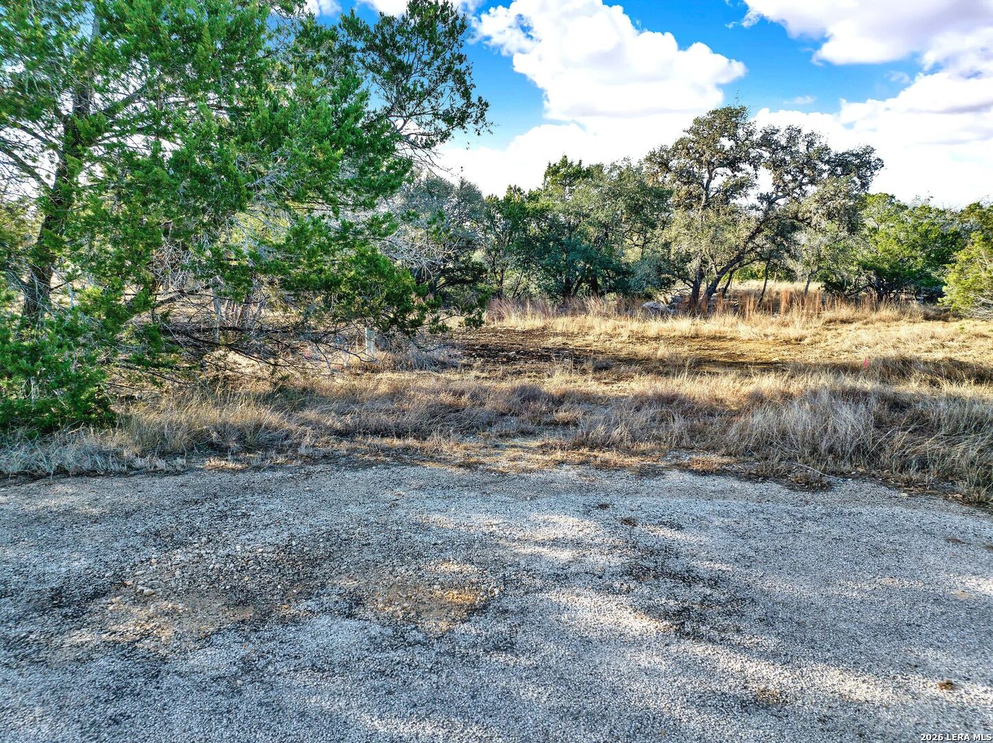 145 Elm Drive Bandera, TX 78003 - Photo 1 of 13 a view of a yard with a tree