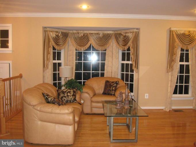 24671 Kings Canyon Square Stone Ridge, VA 20105 - Photo 18 of 23 Living Room #2