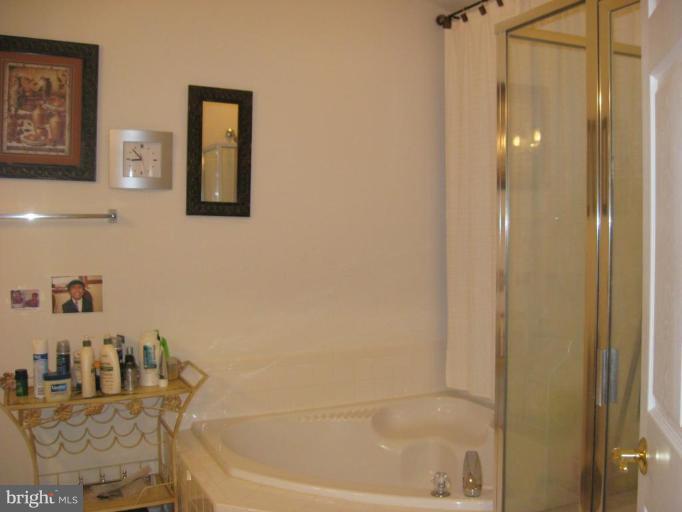 24671 Kings Canyon Square Stone Ridge, VA 20105 - Photo 5 of 23 Master Bath