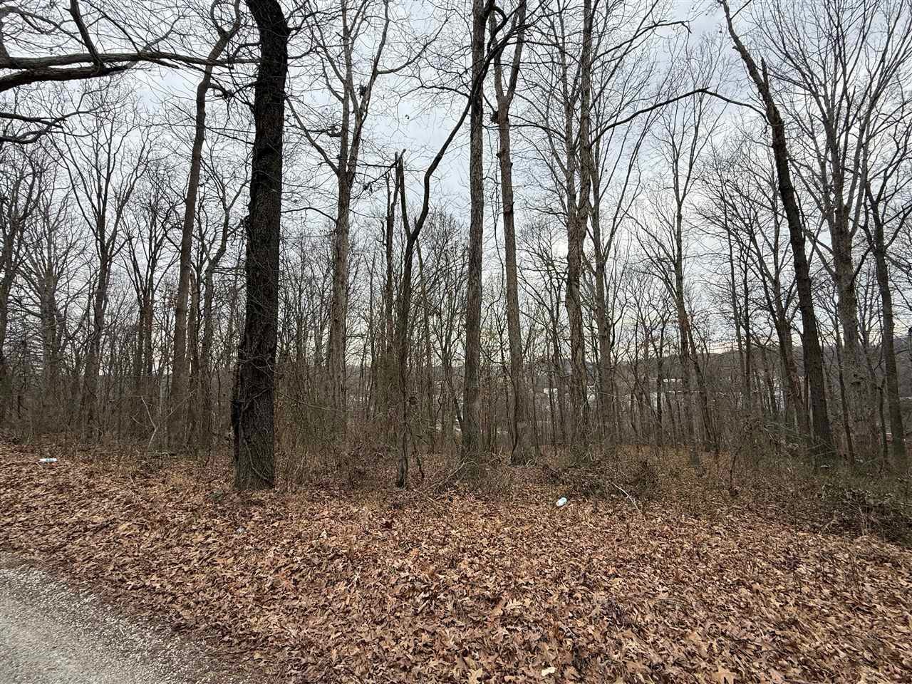 0 Pitcher Road South Morgantown, KY 42261 - Photo 1 of 18 Gallery Image 1