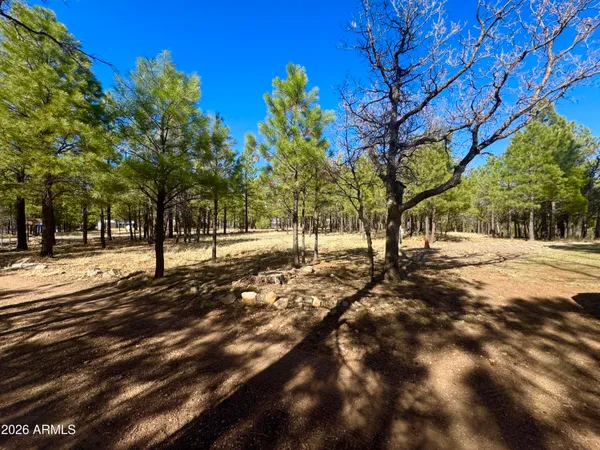 a view of road with trees