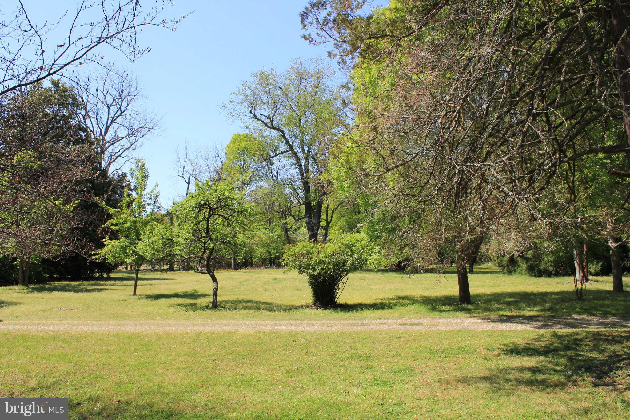 11101 Gunston Road Mason Neck, VA 22079 - Photo 24 of 30 Cleared Land sweeping lawns