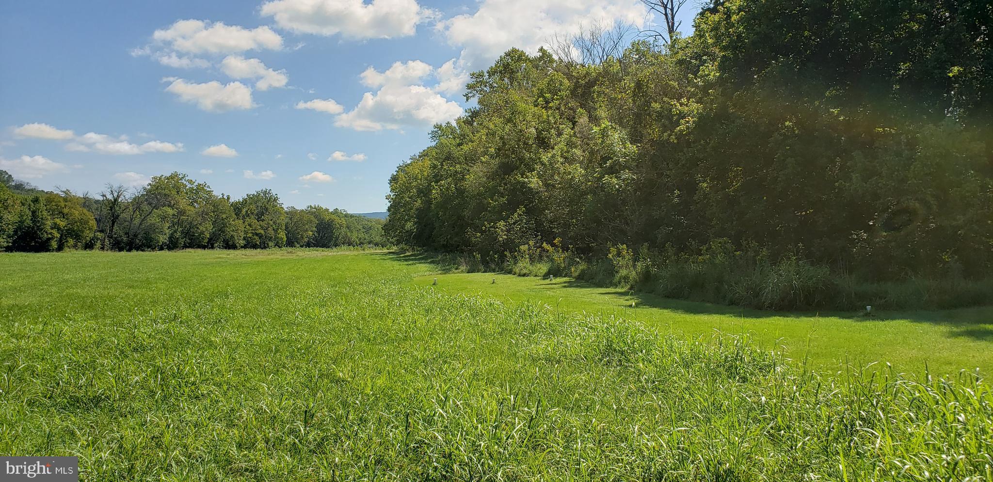 4 Writt Road Shepherdstown, WV 25443 - Photo 16 of 35 Lot view from entrance road