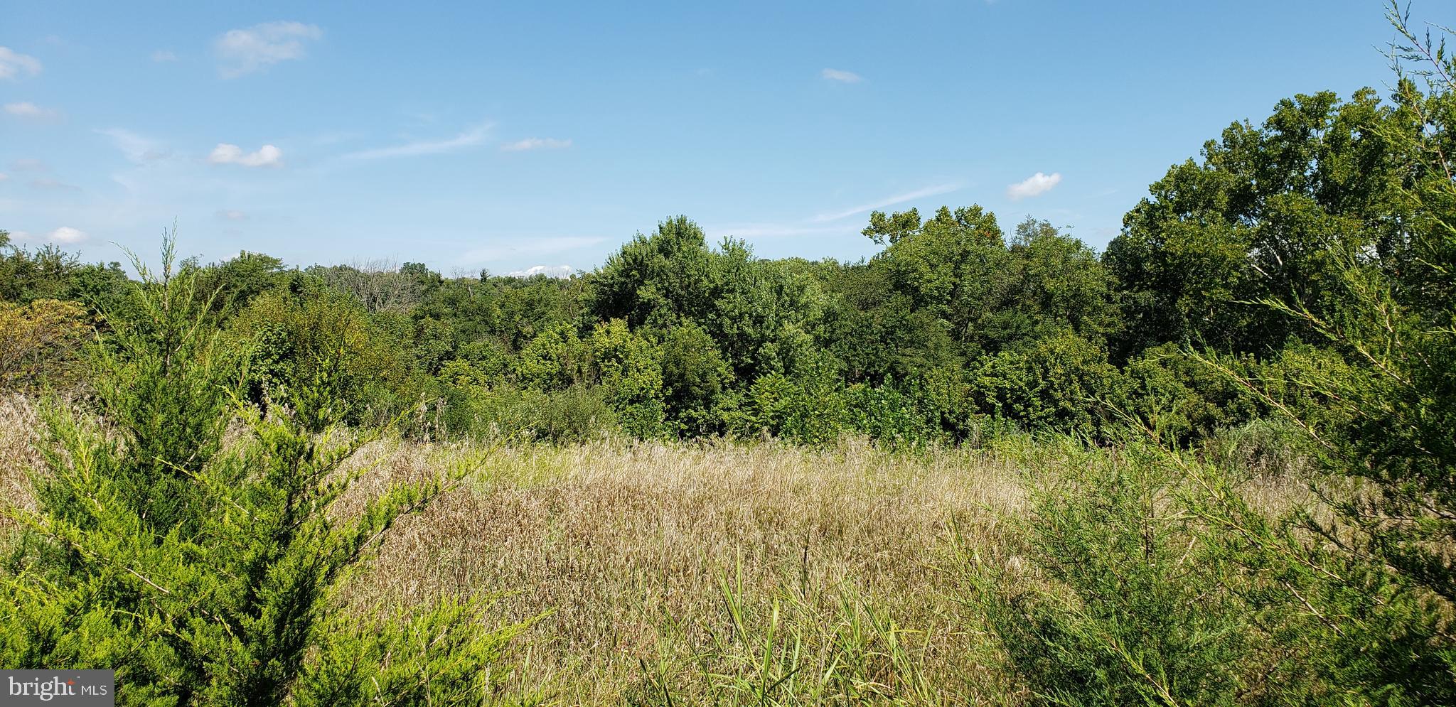 4 Writt Road Shepherdstown, WV 25443 - Photo 24 of 35 Lot view upper
