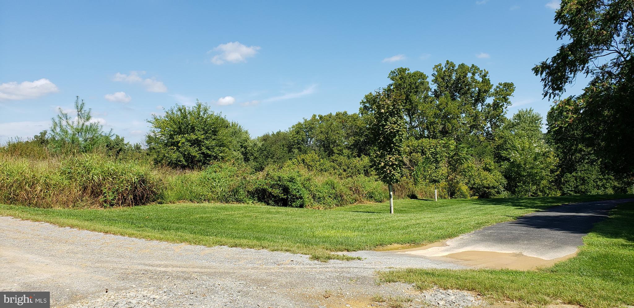 4 Writt Road Shepherdstown, WV 25443 - Photo 25 of 35 Road frontage lot line starts at heavy vegetation