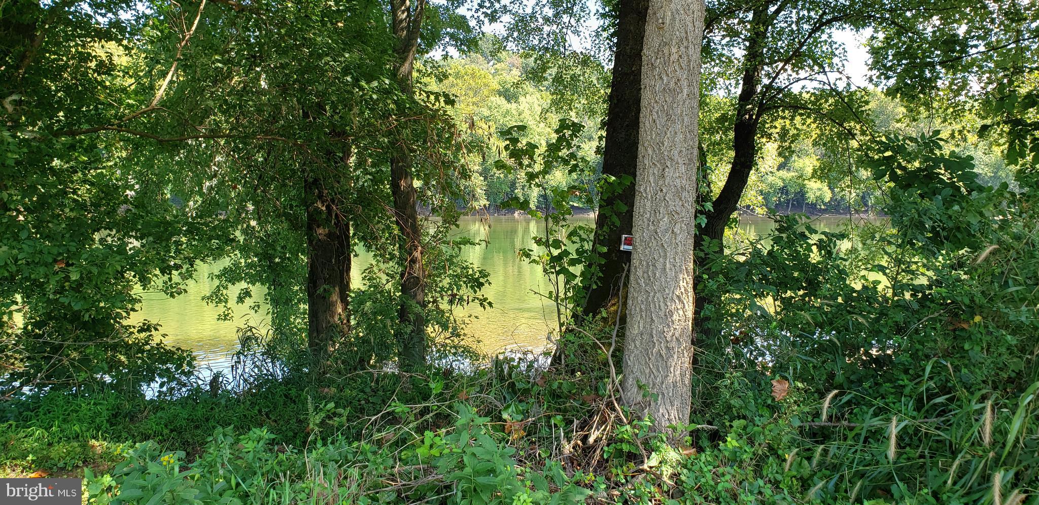 4 Writt Road Shepherdstown, WV 25443 - Photo 10 of 35 Potomac River Frontage
