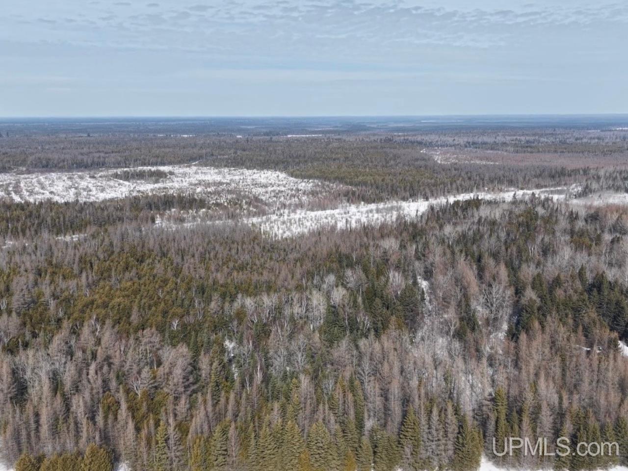 E 80-acres River Road Gulliver, MI 49840 - Photo 16 of 20