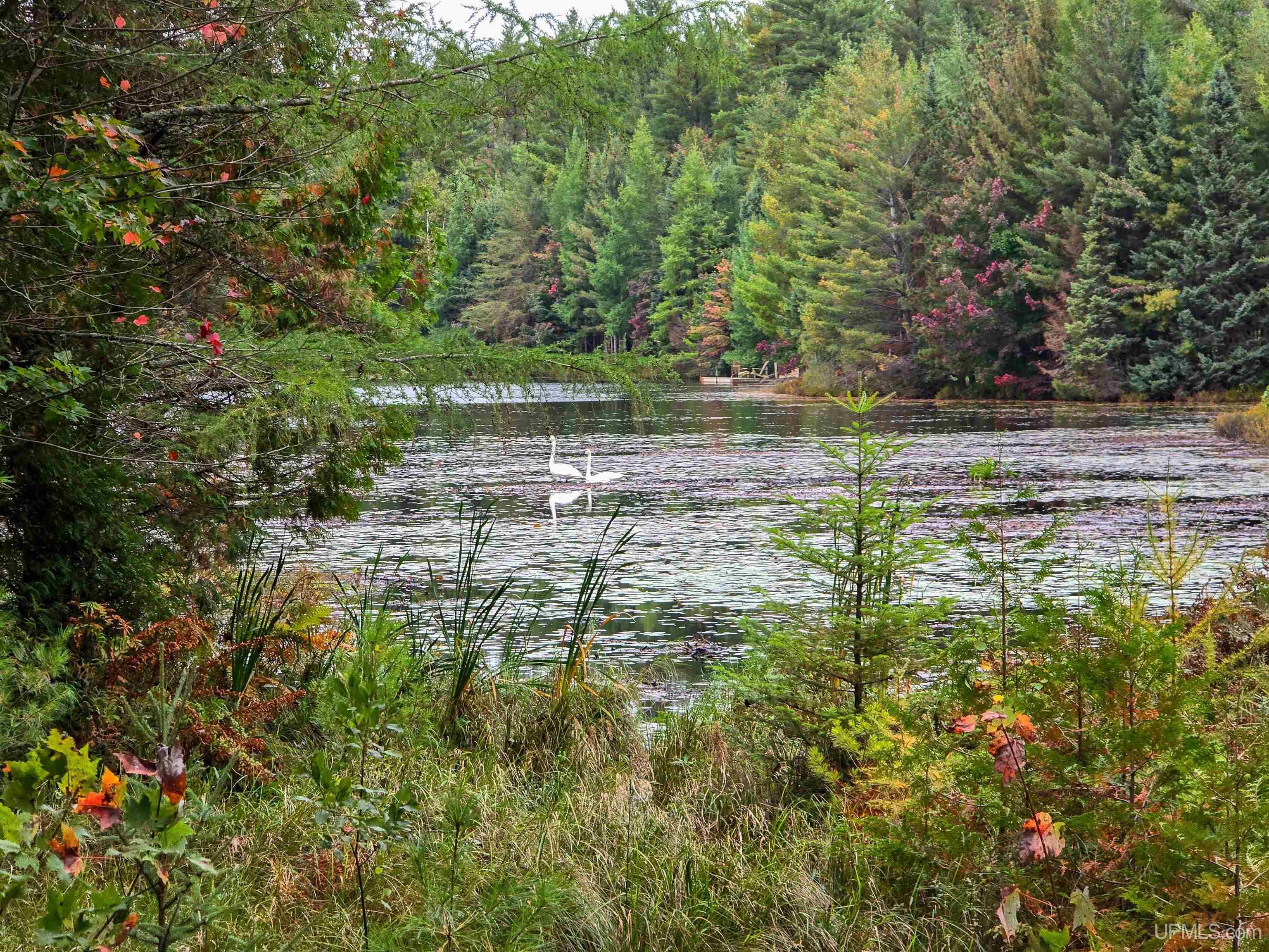 Tbd Leatherleaf Lane Munising, MI 49862 - Photo 4 of 24