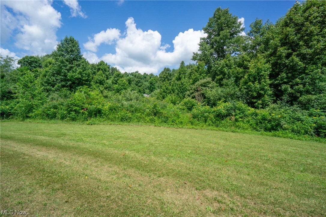 74000 Broadhead Road Kimbolton, OH 43749 - Photo 11 of 34 Gallery Image 11