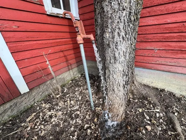 $125,000 | Tbd 120th Street Southwest, Milan, MN 56262