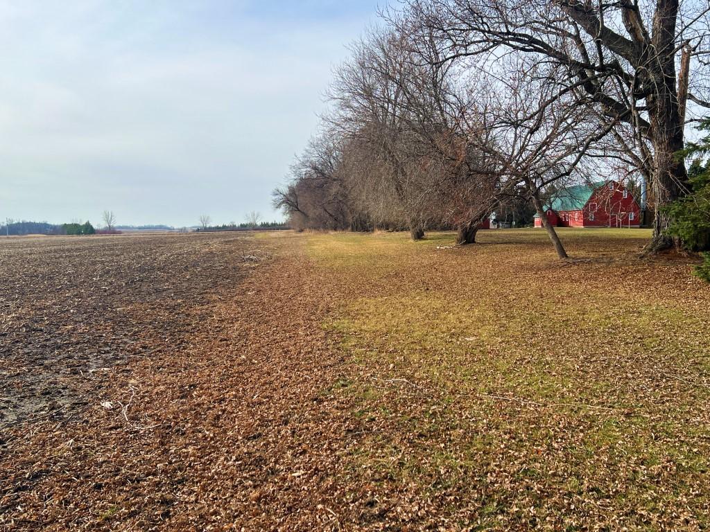 Tbd 120th Street Southwest Milan, MN 56262 - Photo 25 of 46