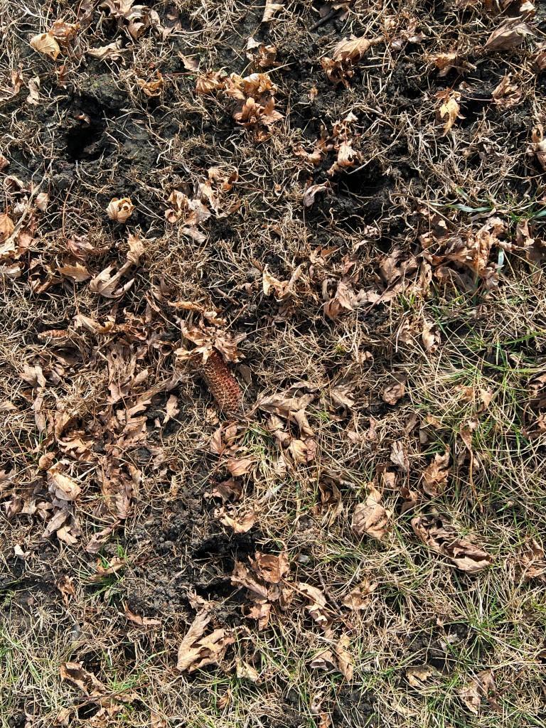 Tbd 120th Street Southwest Milan, MN 56262 - Photo 27 of 47