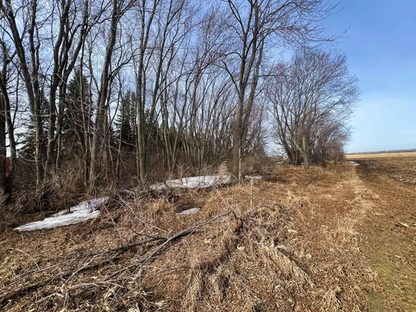 $125,000 | Tbd 120th Street Southwest, Milan, MN 56262