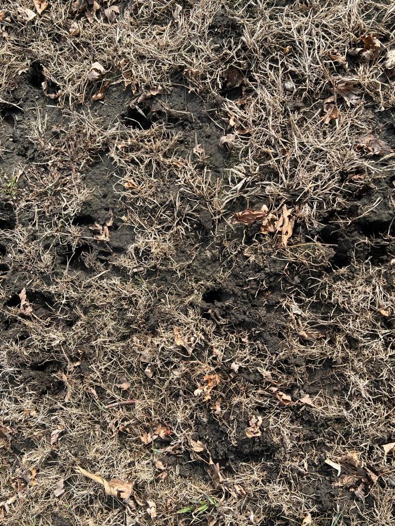 Tbd 120th Street Southwest Milan, MN 56262 - Photo 28 of 47