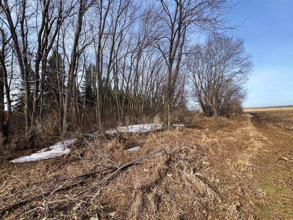 Tbd 120th Street Southwest Milan, MN 56262 - Photo 29 of 47