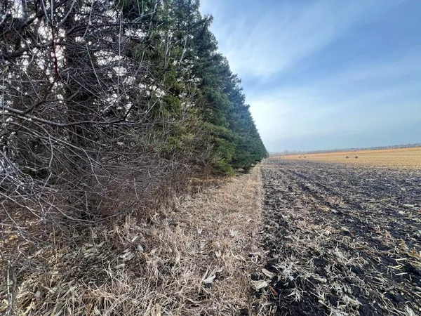 $125,000 | Tbd 120th Street Southwest, Milan, MN 56262