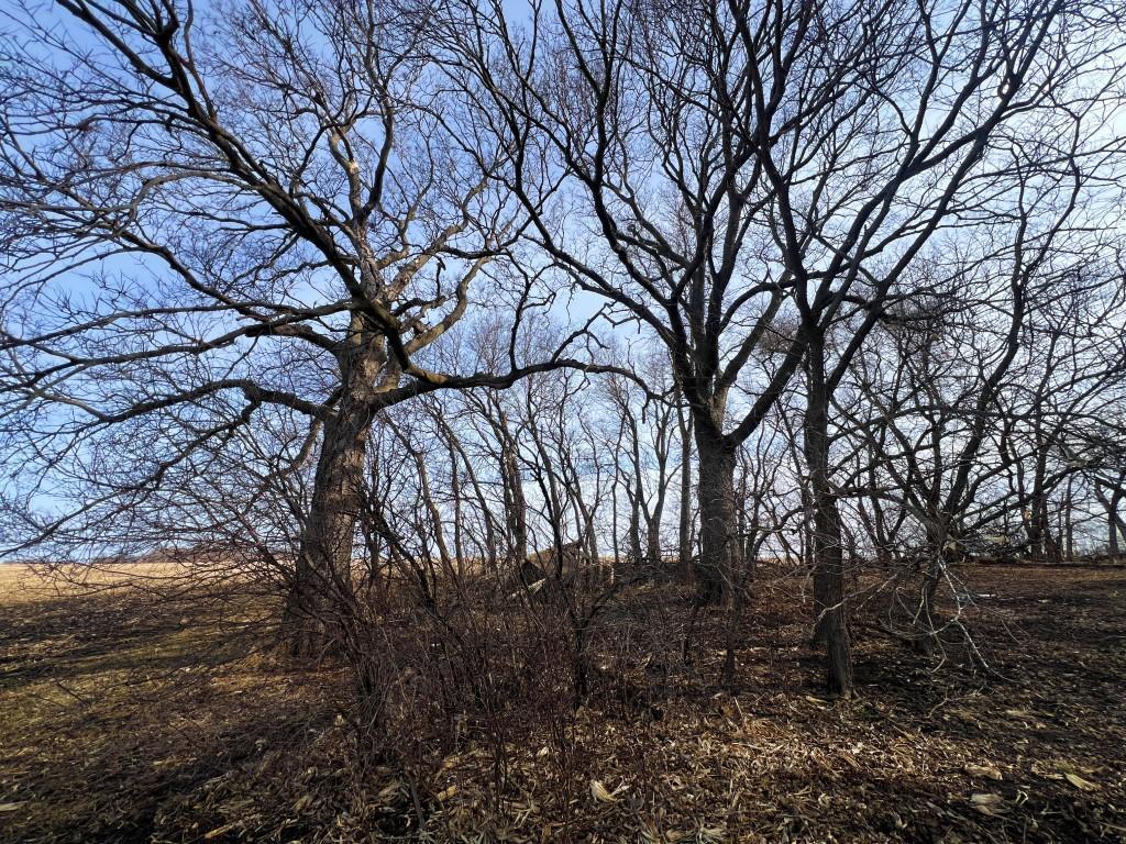 Tbd 120th Street Southwest Milan, MN 56262 - Photo 31 of 47