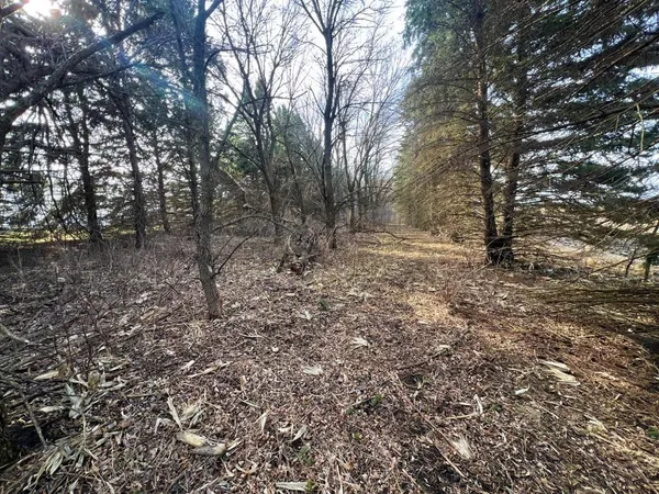 $125,000 | Tbd 120th Street Southwest, Milan, MN 56262