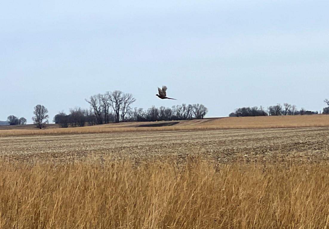 Tbd 120th Street Southwest Milan, MN 56262 - Photo 37 of 47