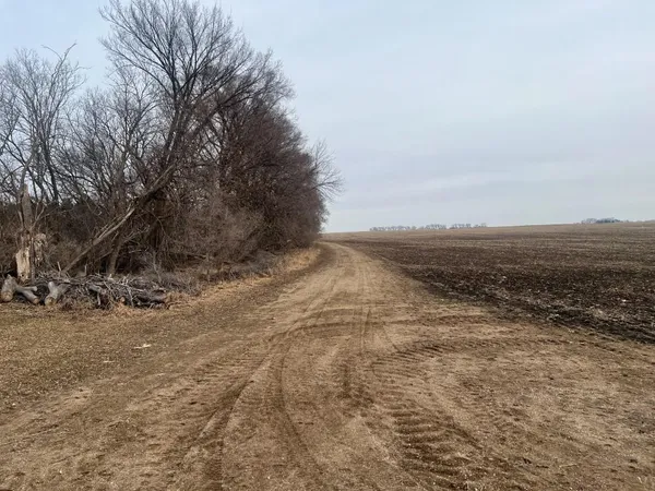 $125,000 | Tbd 120th Street Southwest, Milan, MN 56262