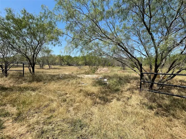 a view of dirt yard with a tree