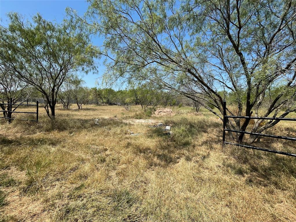 7976 Bearhill Road Royse City, TX 75189 - Photo 18 of 27 a view of dirt yard with a tree