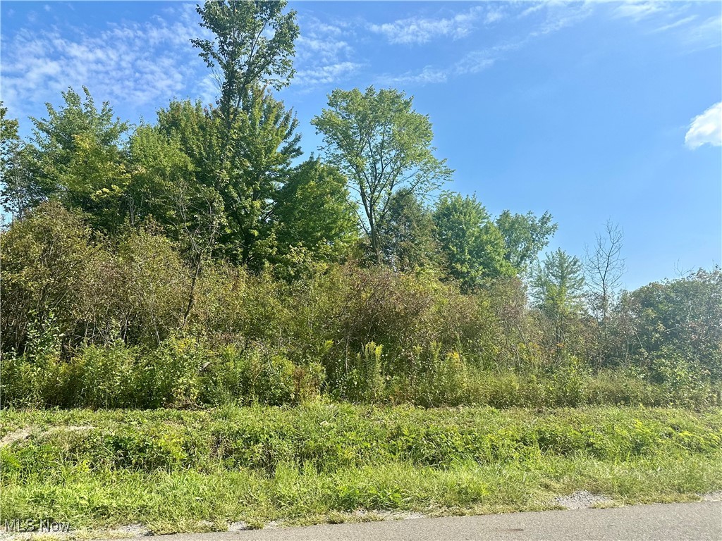 Naylor Lloyd Road Girard, OH 44420 - Photo 2 of 4