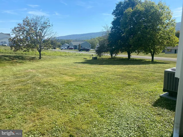 a view of a garden with trees