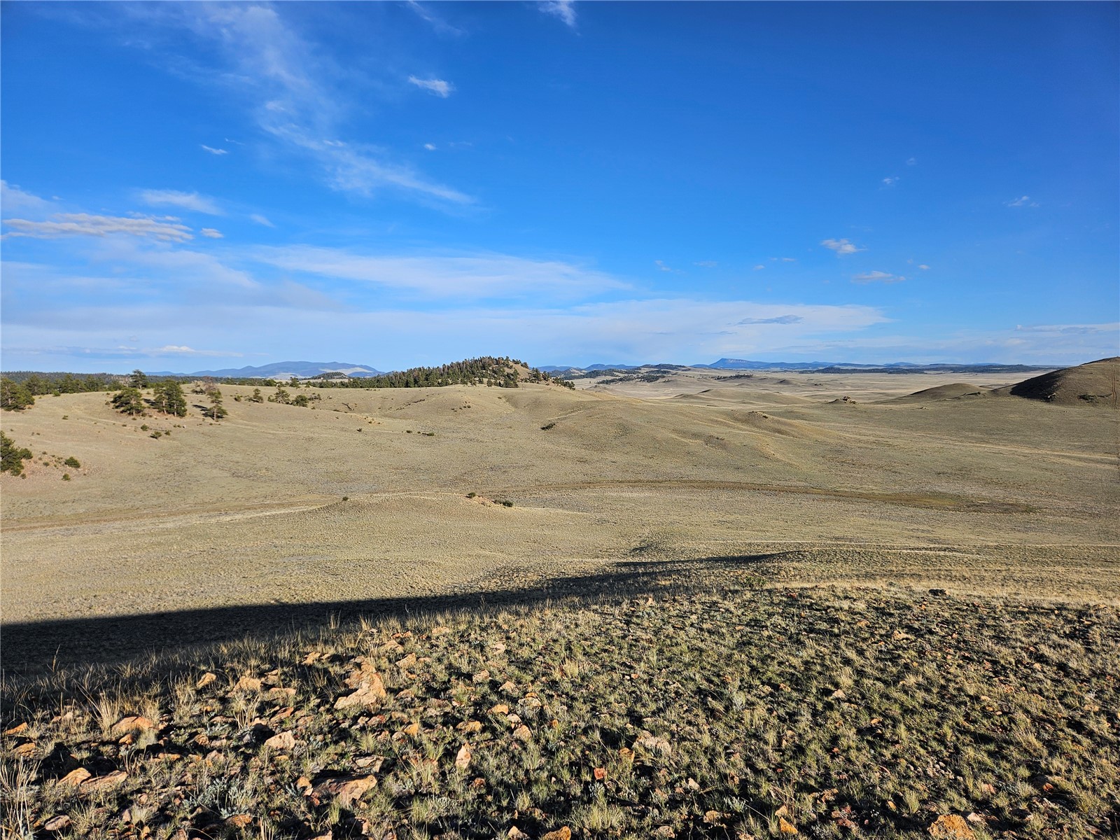 Pcs#24142 Antero Road Hartsel, CO 80449 - Photo 42 of 50