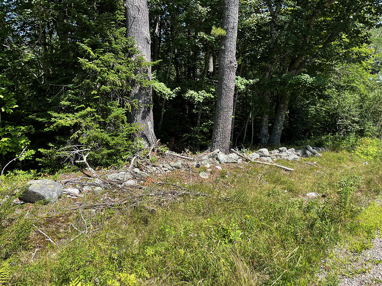 Lot 2 Waldoboro Road Bremen, ME 04551 - Photo 3 of 5 IMG-0562-Mod