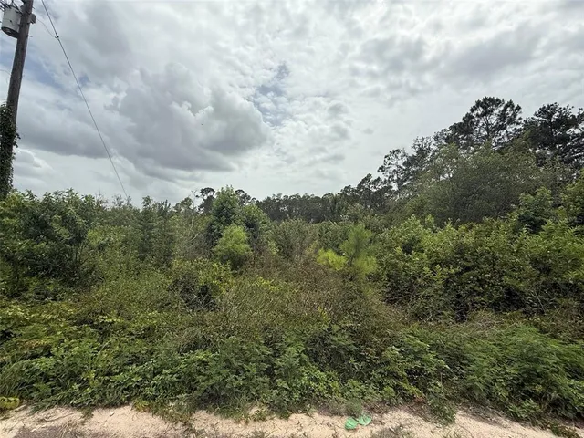 $12,800 | 129 Fishermans Drive, Interlachen, FL 32148