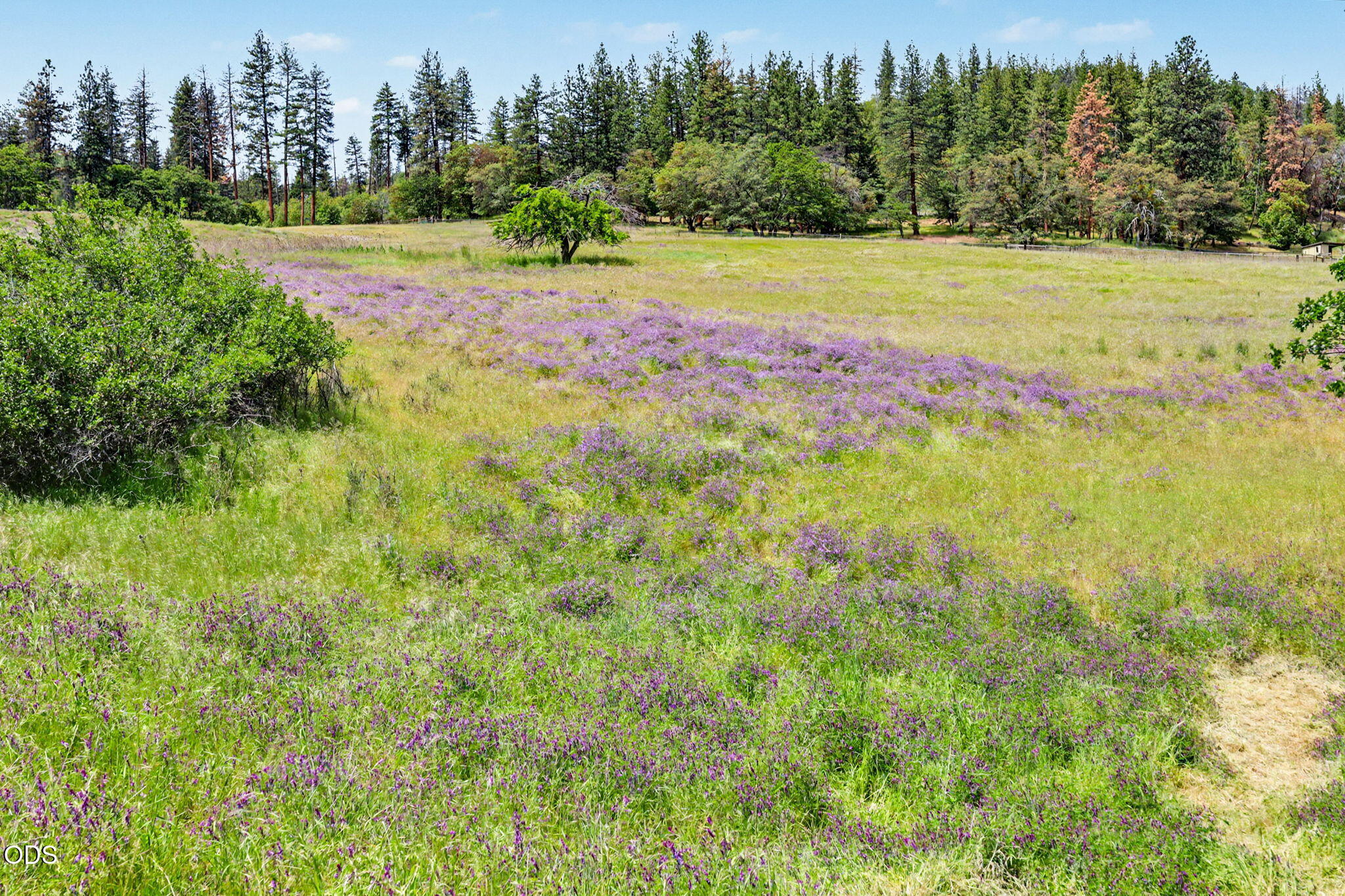 5758 Sterling Creek Road Jacksonville, OR 97530 - Photo 42 of 51
