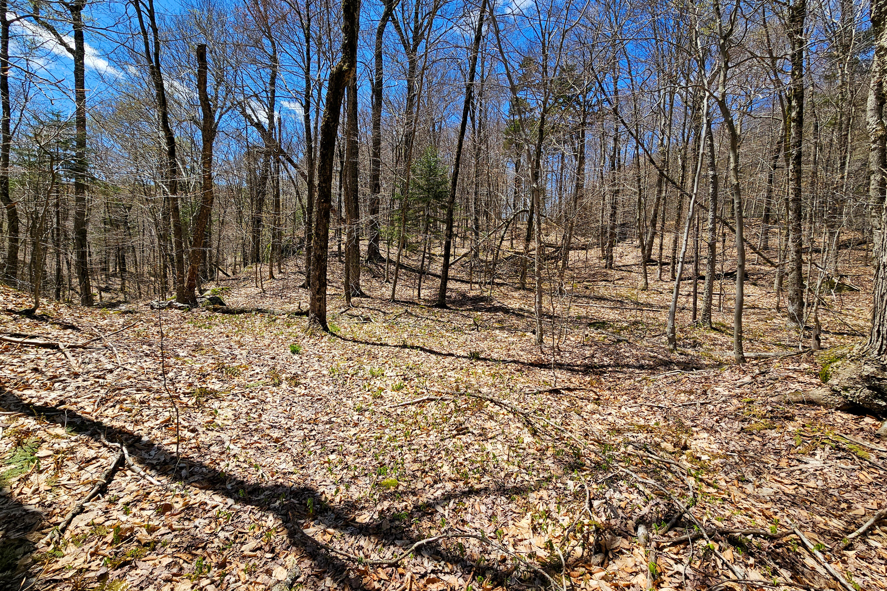 0 Palisades Road West Old Forge, NY 13420 - Photo 8 of 15 2.68 Acres