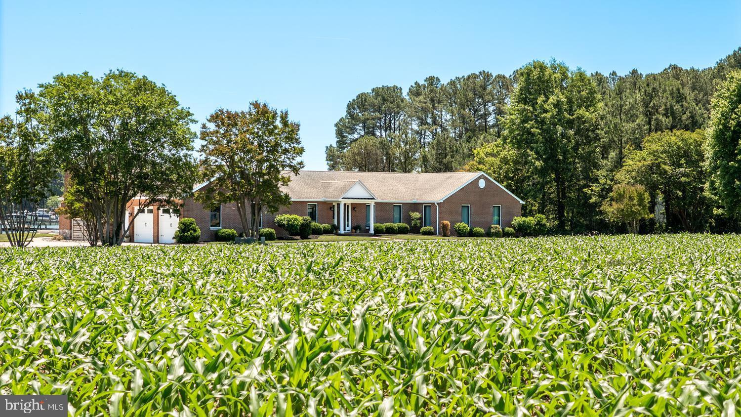 7543 Bozman Neavitt Road Bozman, MD 21612 - Photo 14 of 121
