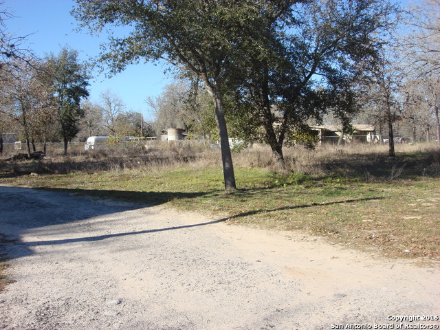 23717 Wood Park, Unit 3 San Antonio, TX 78264 - Photo 15 of 18 a view of a yard with large trees
