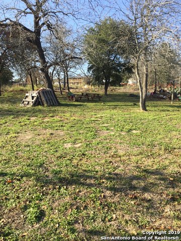 23717 Wood Park, Unit 3 San Antonio, TX 78264 - Photo 18 of 18 a view of a yard with a tree