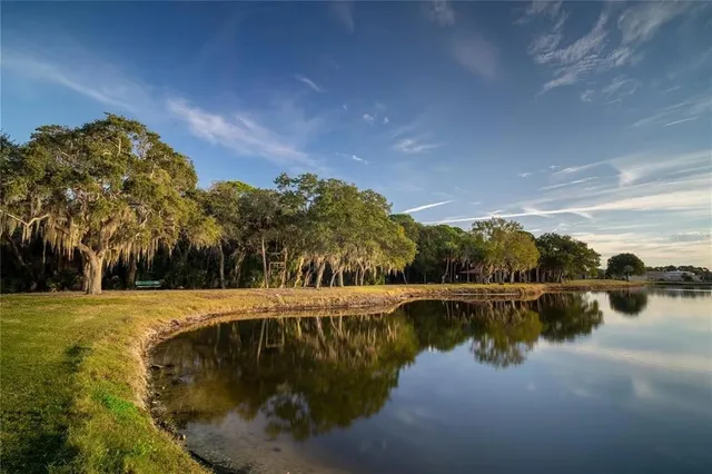 a view of a lake with a beach