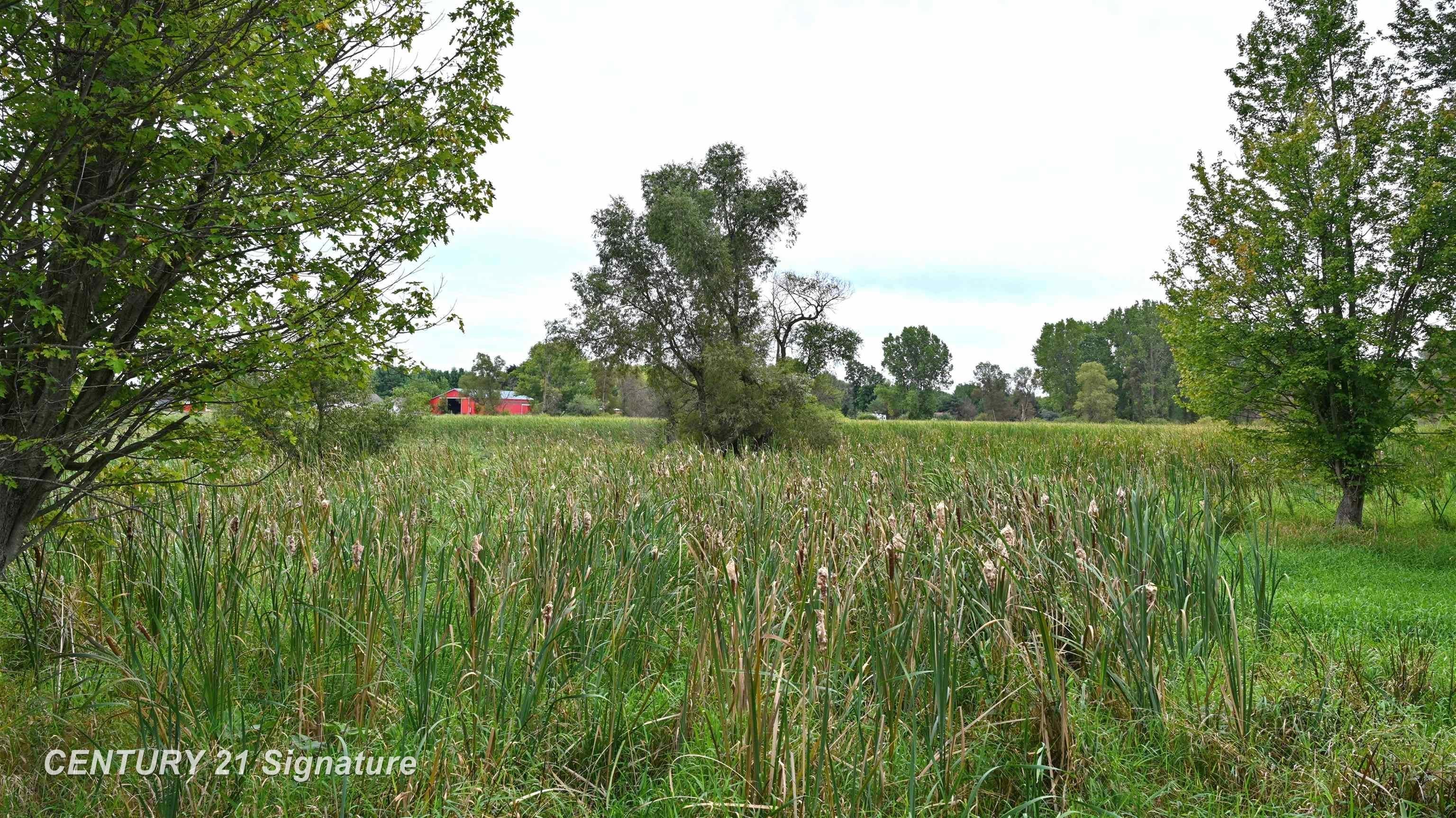 0 Tyrrell Road Owosso, MI 48867 - Photo 16 of 41 Gallery Image 16