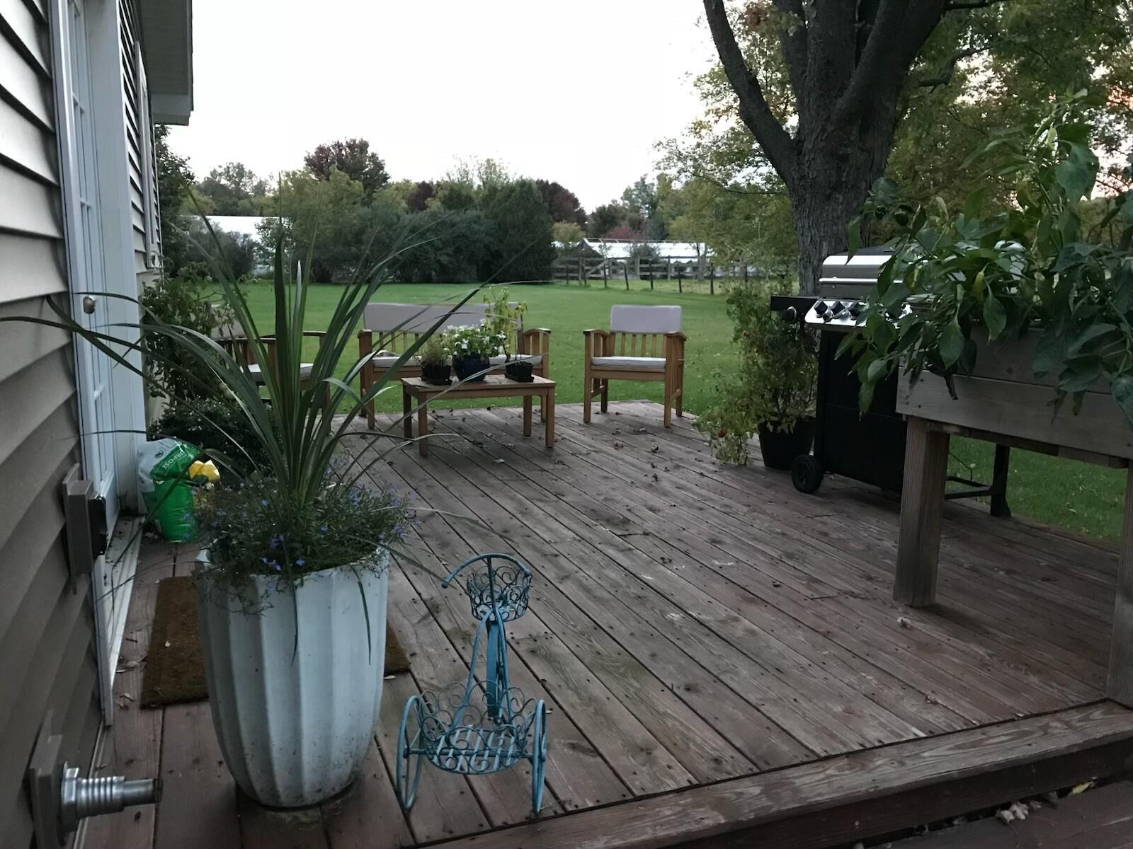 182 Spellman Road West Chazy, NY 12992 - Photo 31 of 31 Summertime