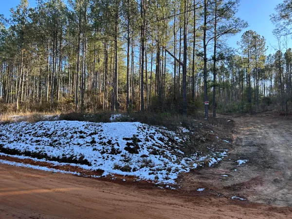 $90,000 | 3229 Keysville-Boggs Academy Road, Keysville, GA 30816