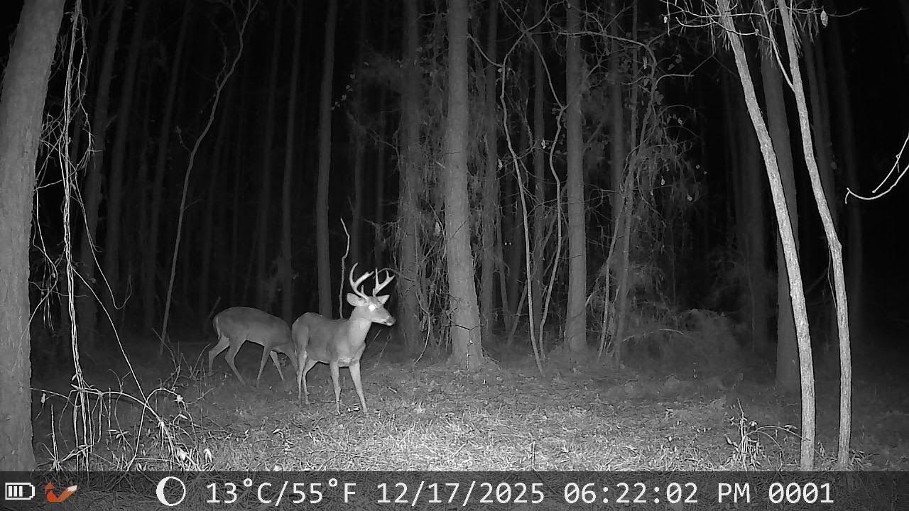 3229 Keysville-Boggs Academy Road Keysville, GA 30816 - Photo 6 of 7 IMG_2316