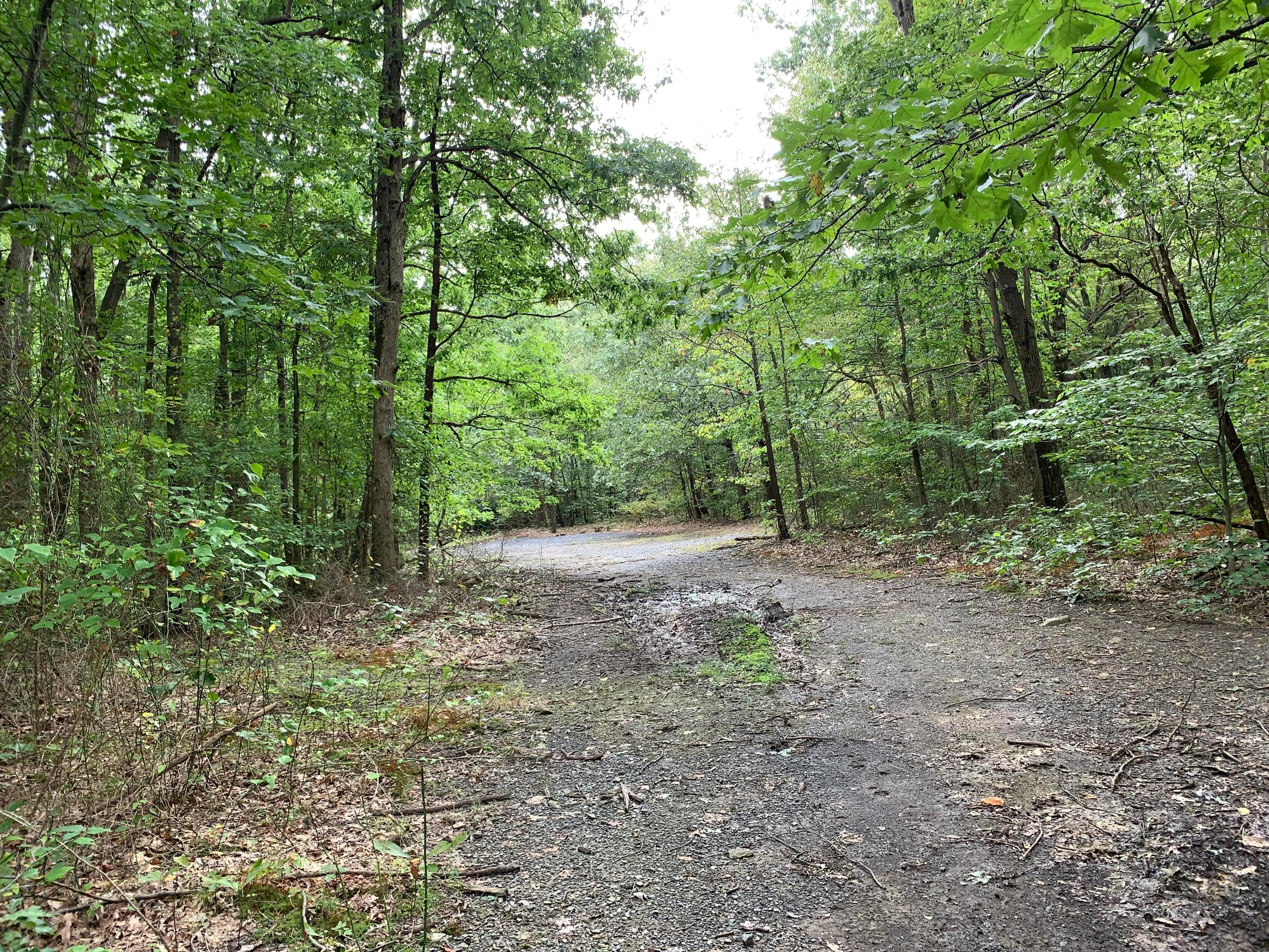 0 Cherry Run Road Northwest Strasburg, OH 44680 - Photo 10 of 35 20200916_193027549_iOS