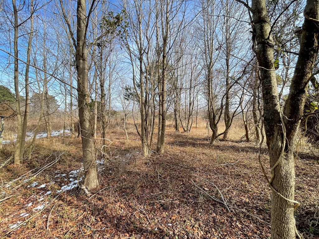 3.65 Old Neck Road, Unit 1 Weems, VA 22576 - Photo 22 of 35