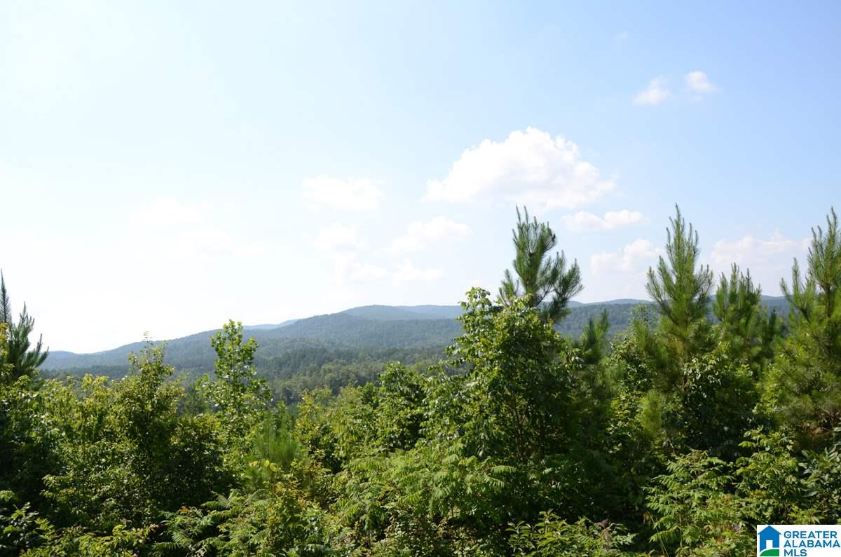 10098 County Road 55, Unit 24 ACRES Fruithurst, AL 36262 - Photo 26 of 27
